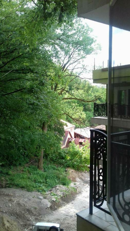 Apartament Apartament Ramona Braszów Zewnętrze zdjęcie