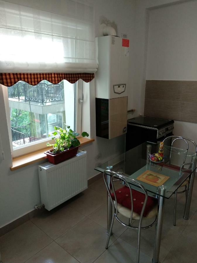 Apartament Apartament Ramona Braszów Zewnętrze zdjęcie