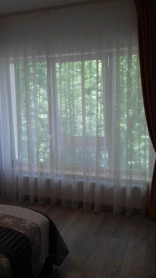 Apartament Apartament Ramona Braszów Zewnętrze zdjęcie