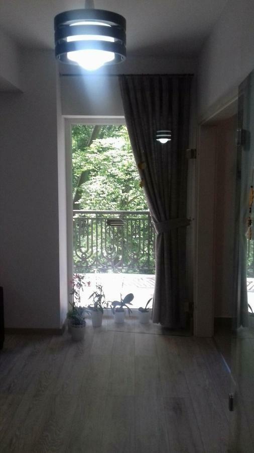 Apartament Apartament Ramona Braszów Zewnętrze zdjęcie